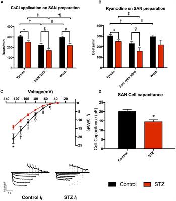 Electrical Conduction System Remodeling in Streptozotocin-Induced Diabetes Mellitus Rat Heart